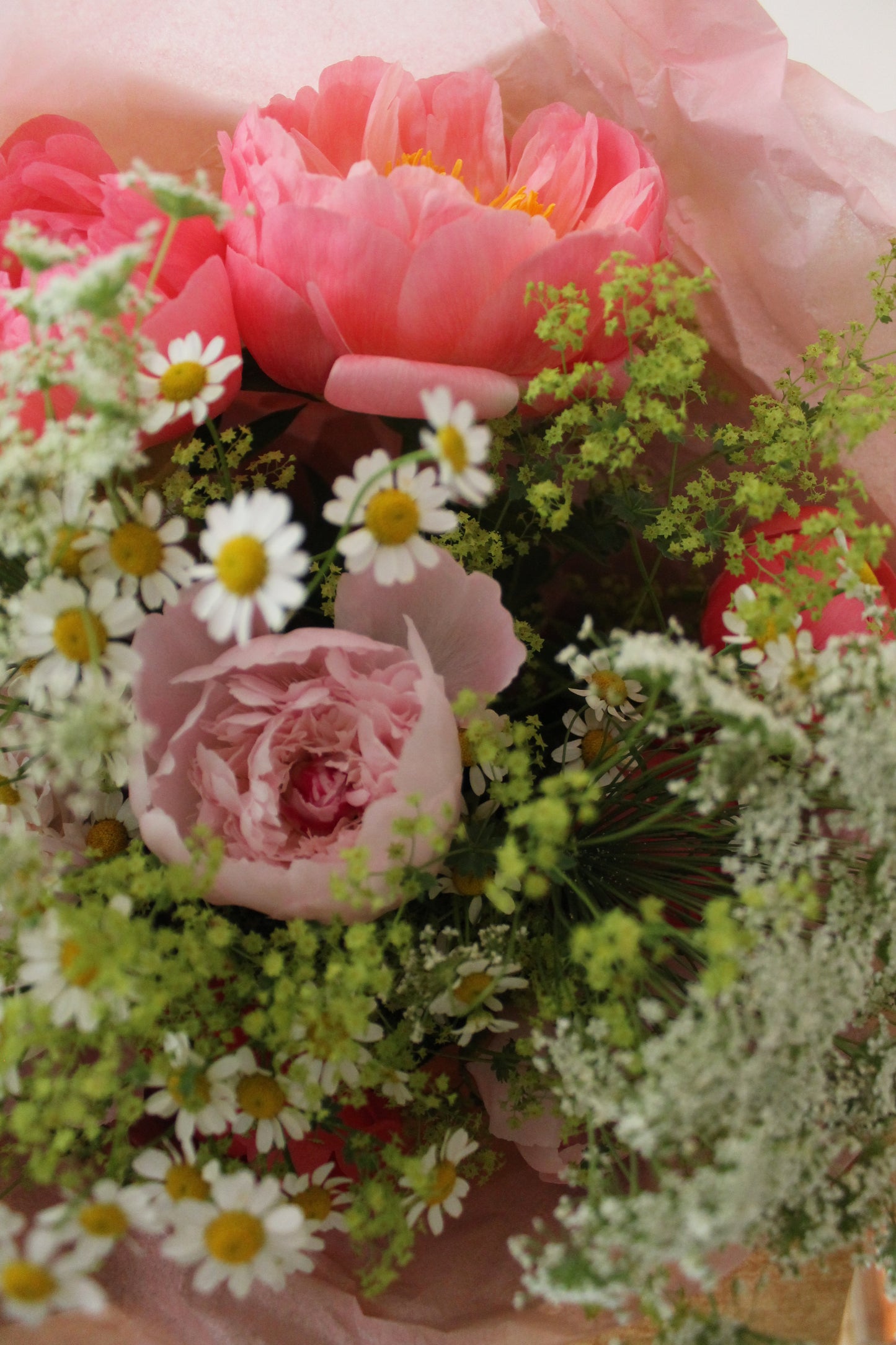 Peonies