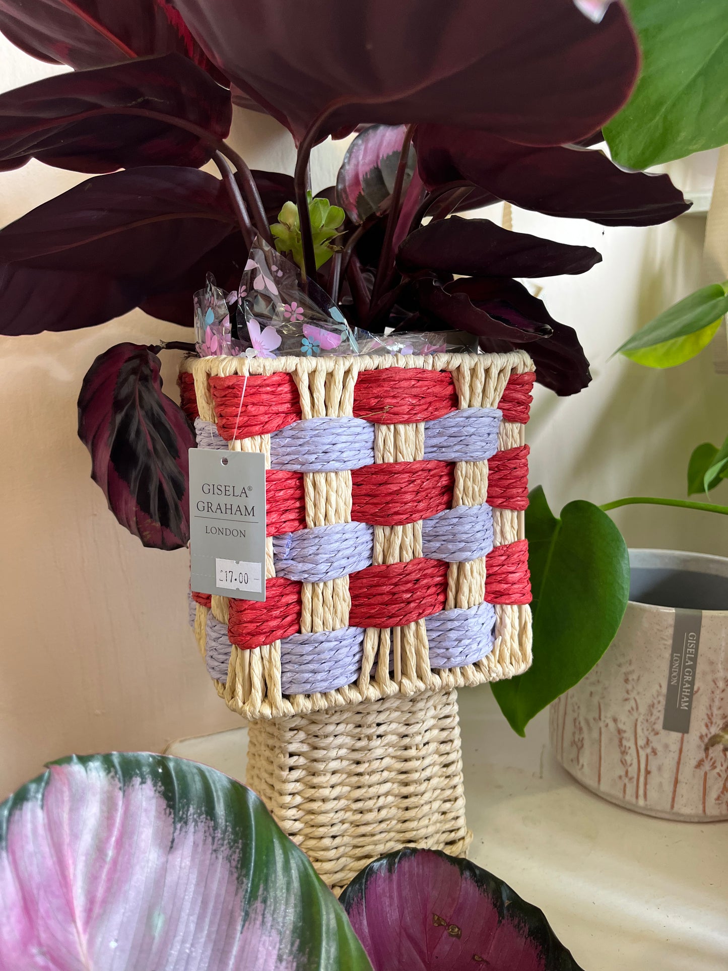 Woven Checkered Plant Pot