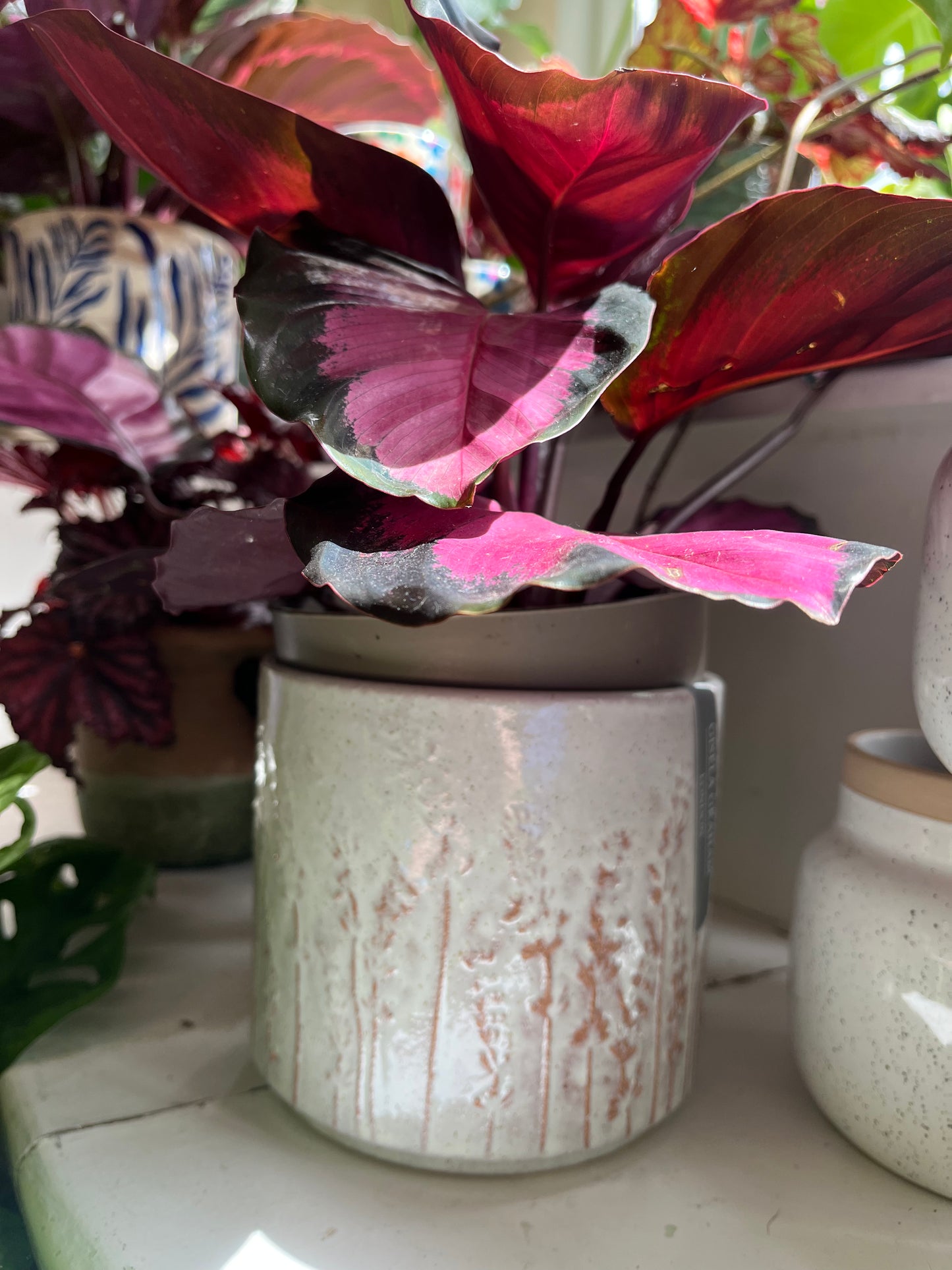 Blurred Flower Detailed Pot