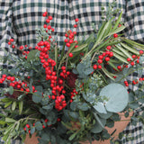 Christmas Flleurs Longlife option