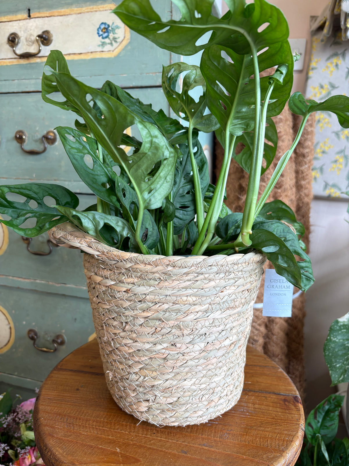 Woven basket