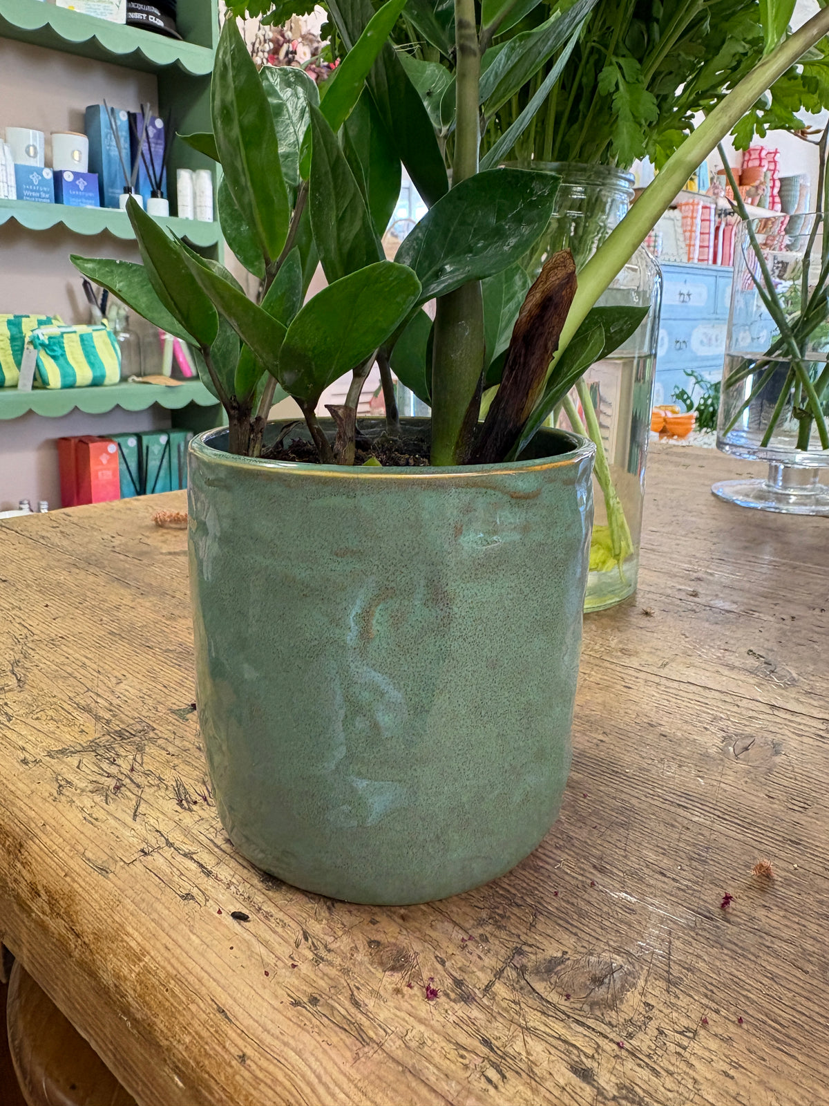 Green plant pot