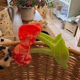 Claw Clips