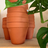 Terracotta Pots