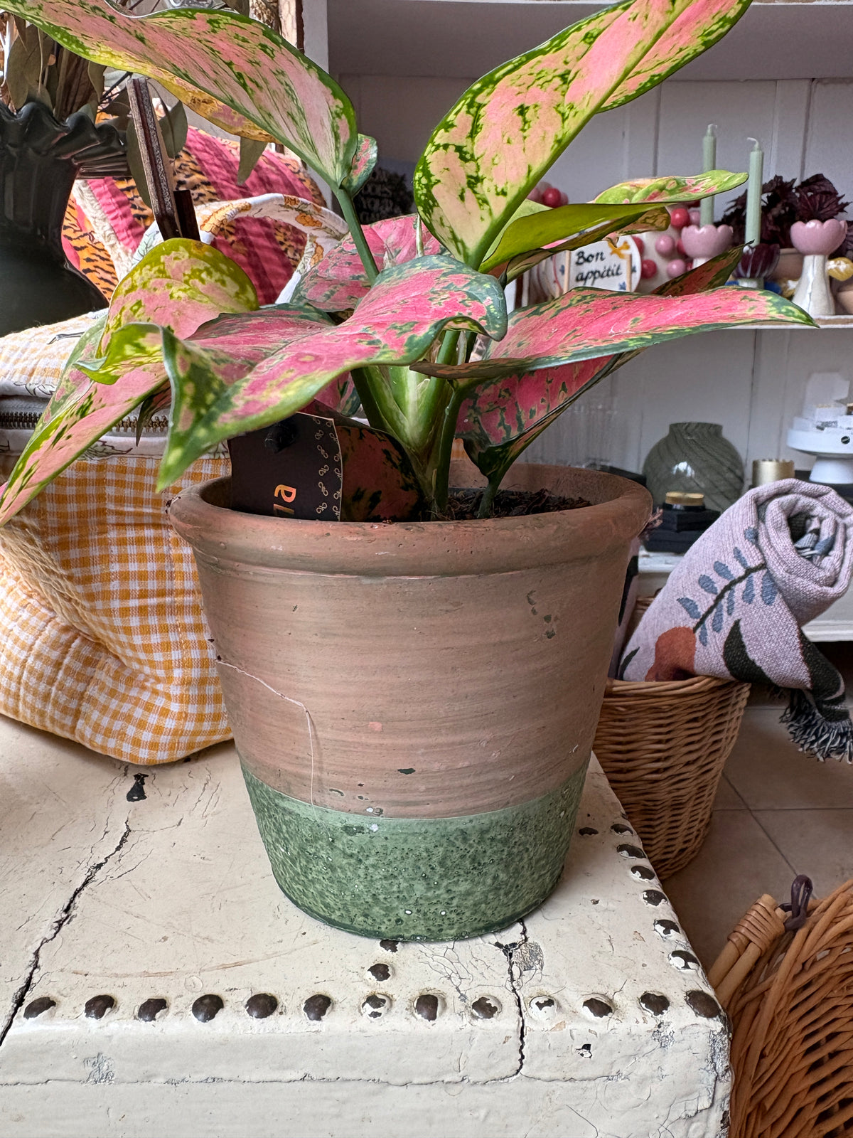 Green Rustic Pot