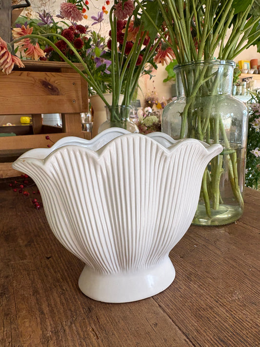 Shell Vase