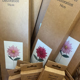 Paper Decorations