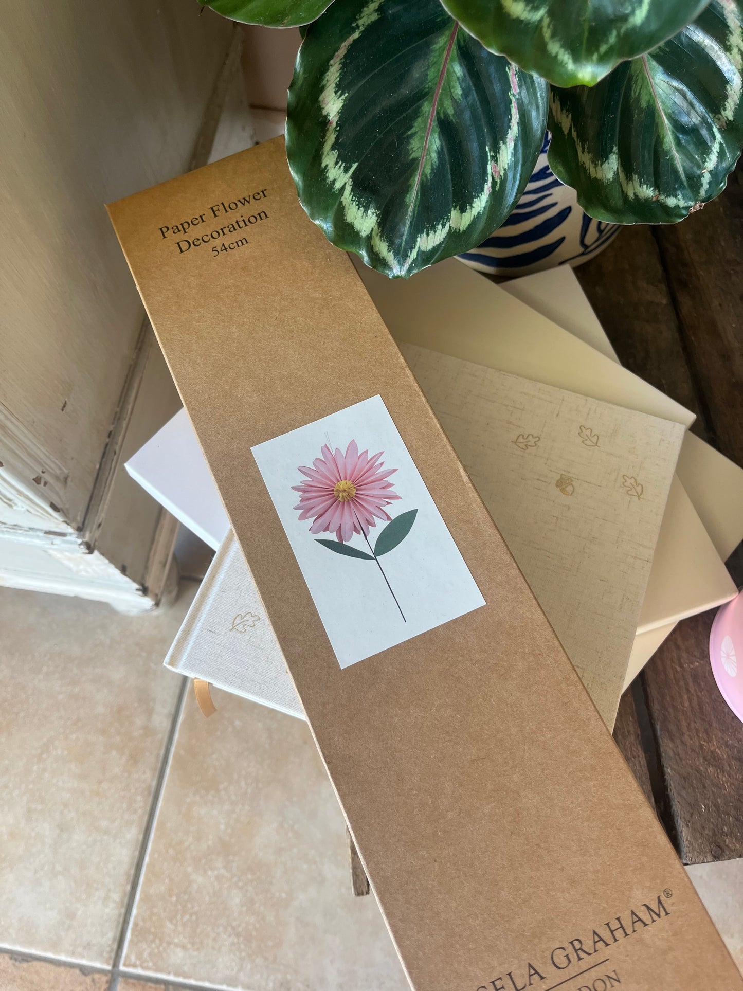 Paper Decorations