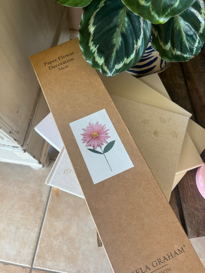 Paper Decorations