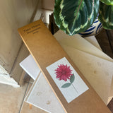 Paper Decorations