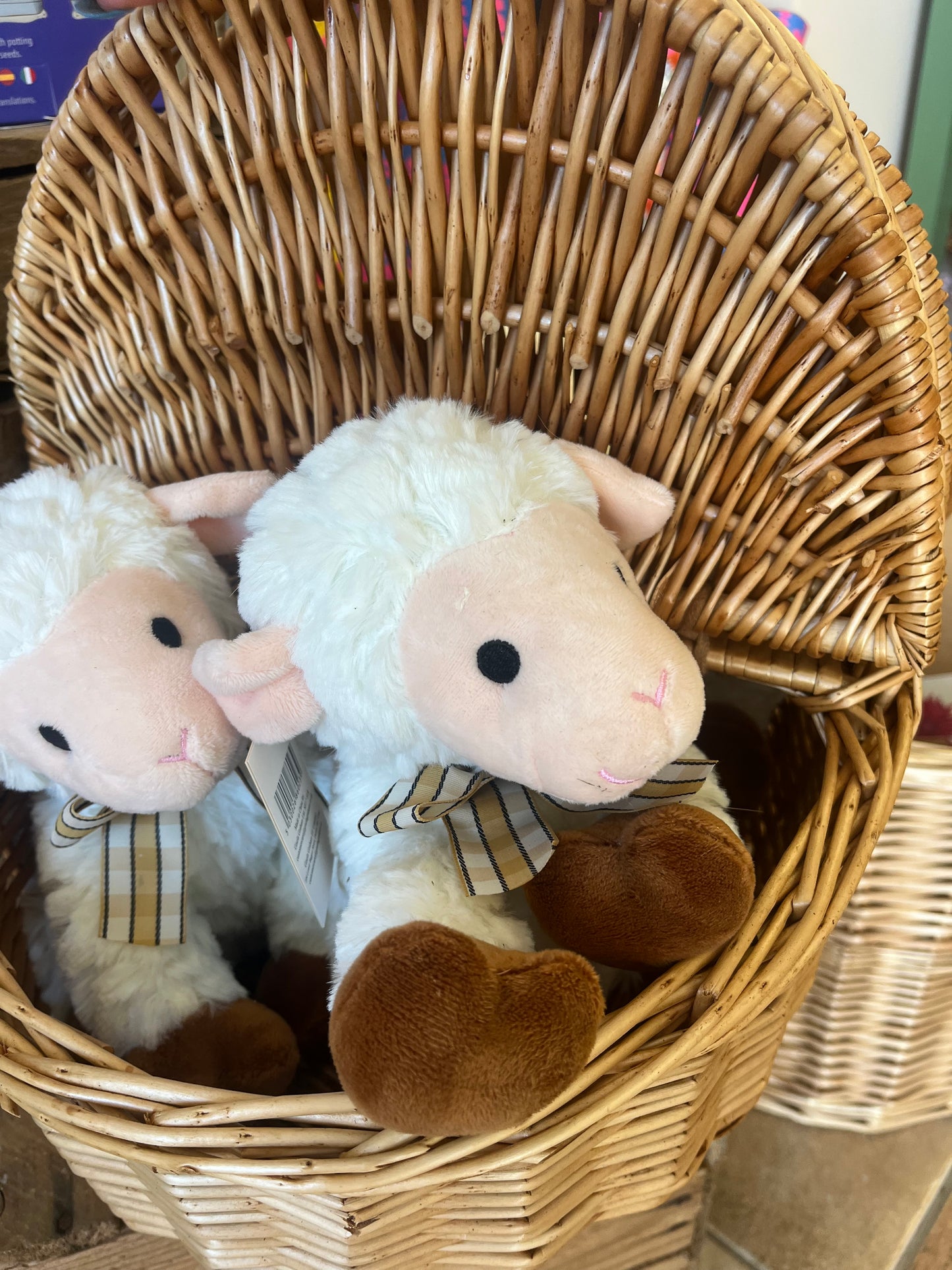 Sheep Plush