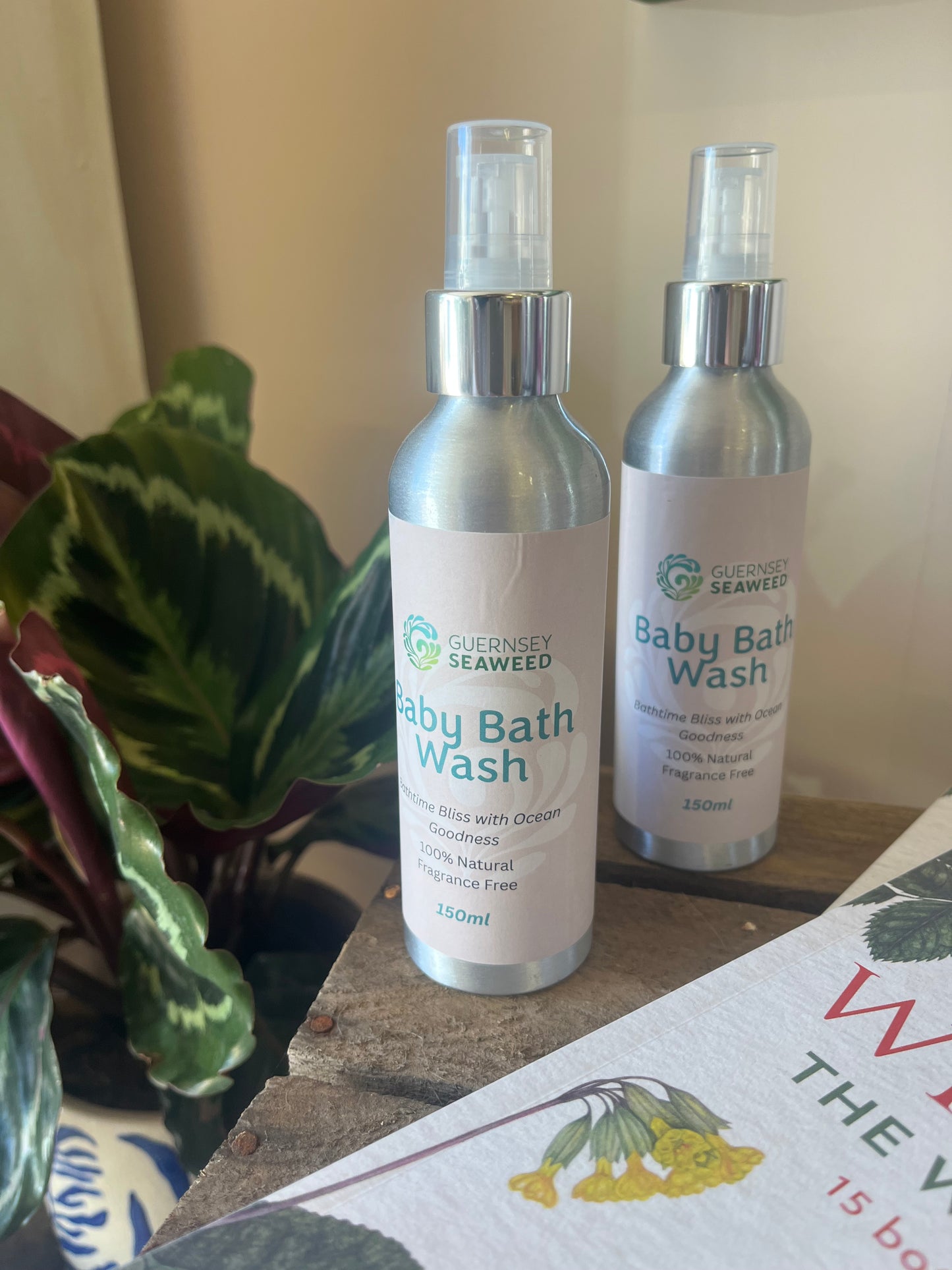 Guernsey Seaweed - Baby Bath Wash