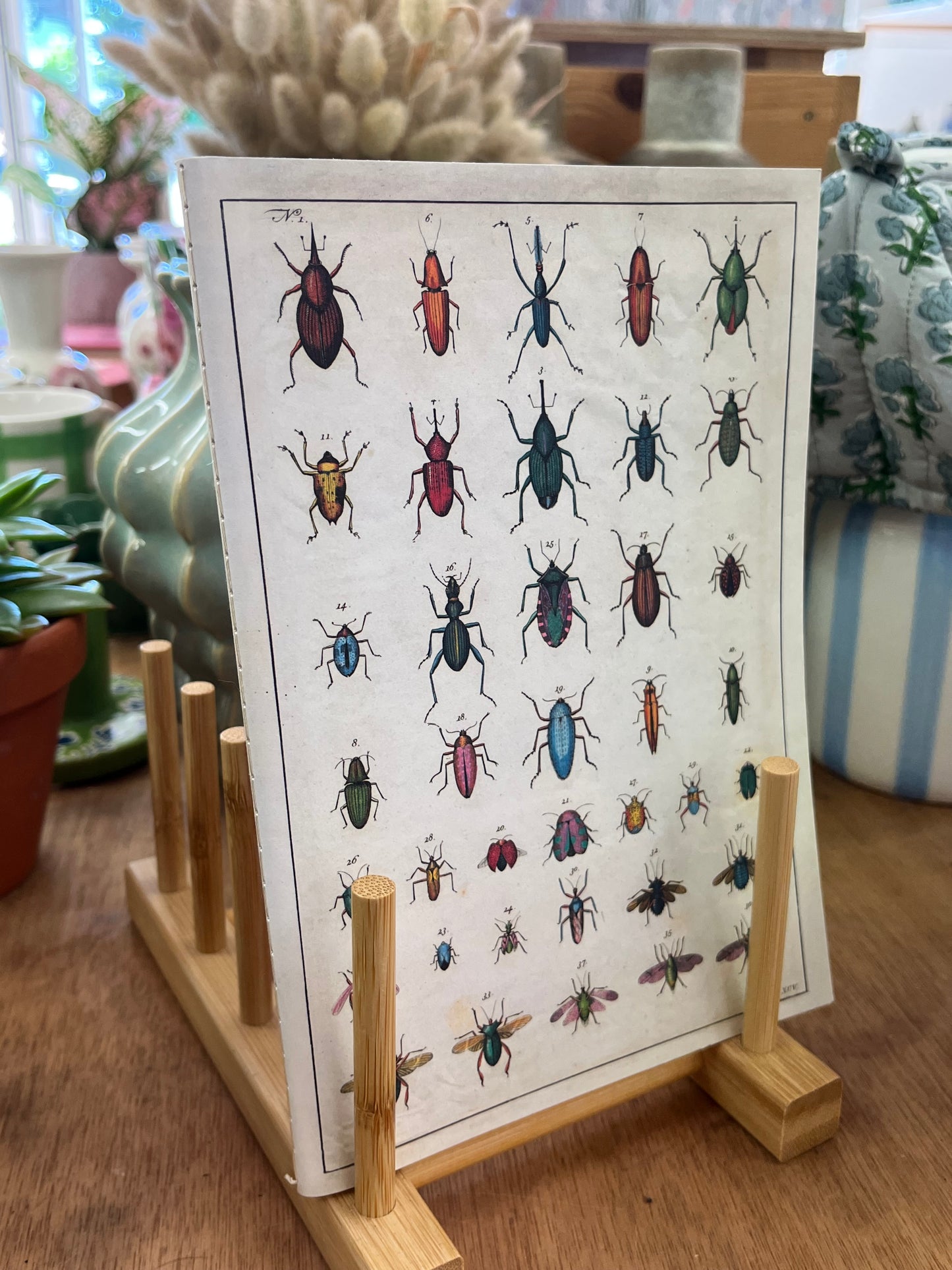 Insect Notebook