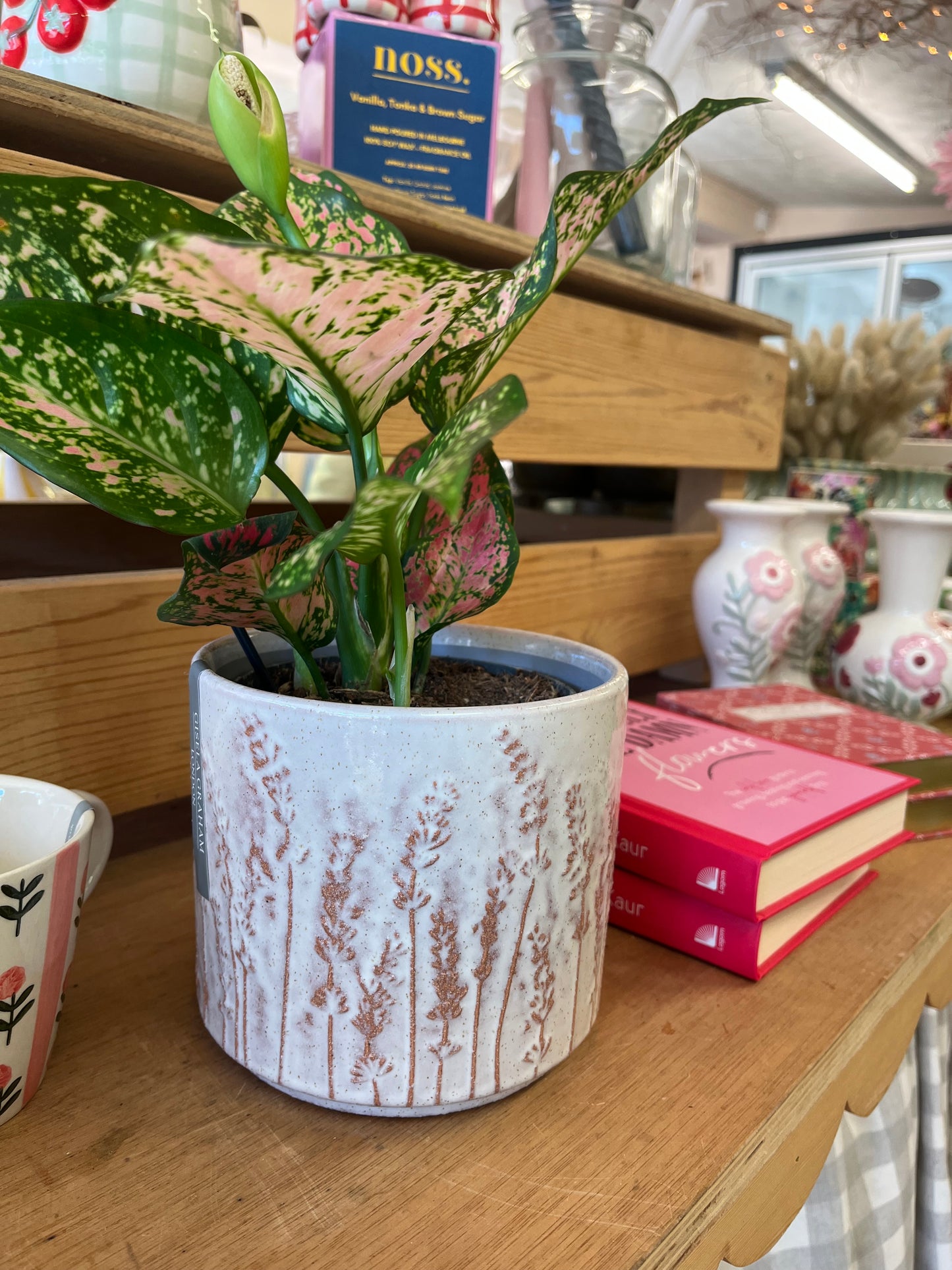 Rustic Pot