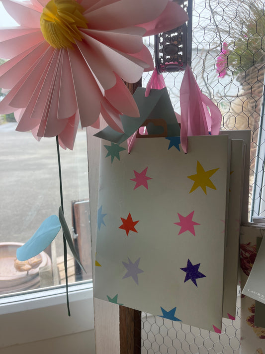 Small Gift Bags