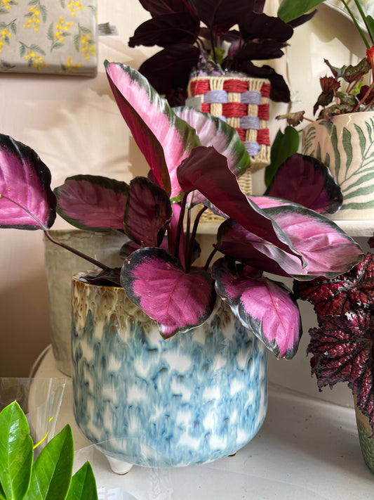 Dripped Blue & White Pot