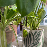 Tropical Leaf Pot