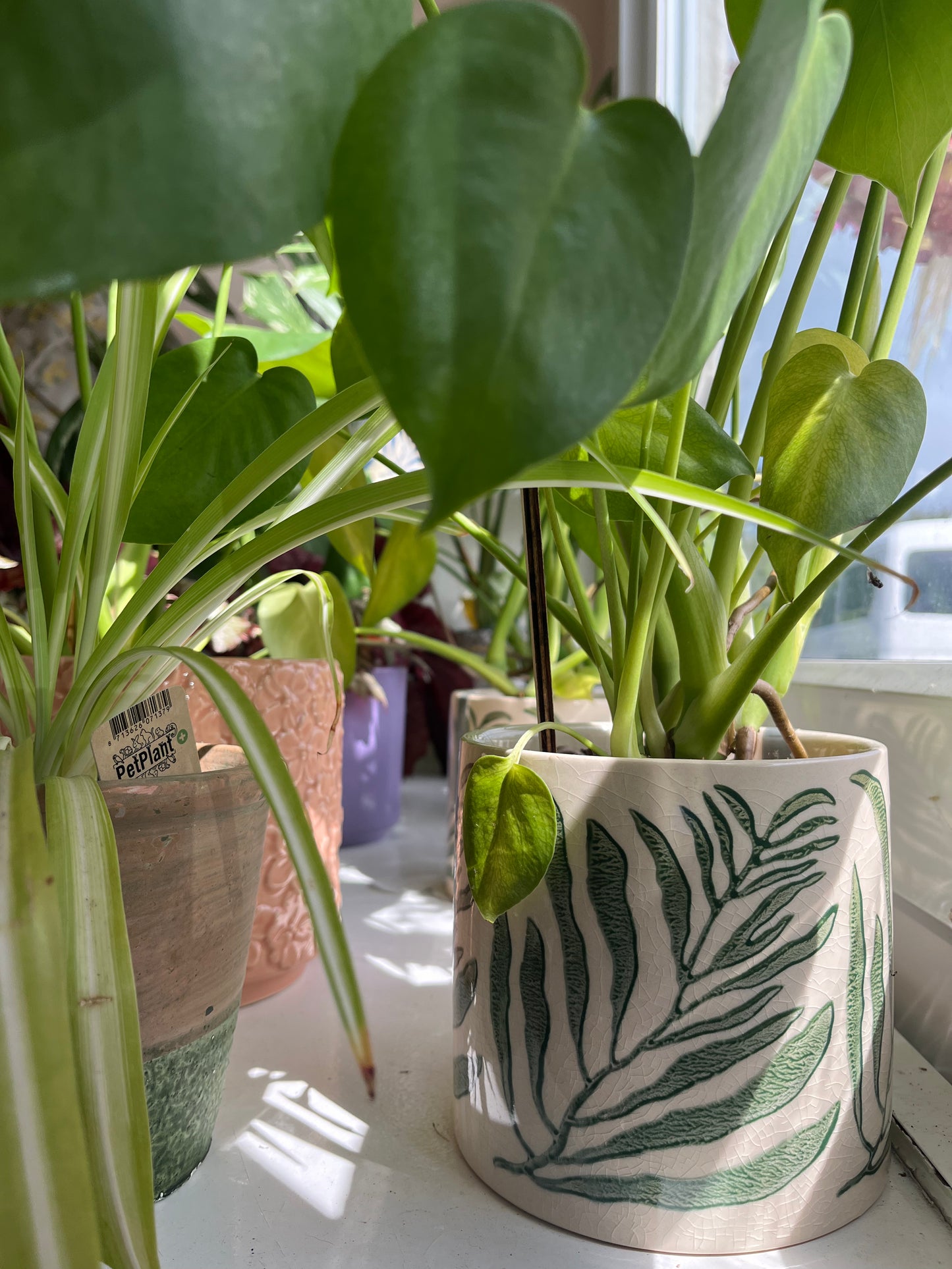 Tropical Leaf Pot