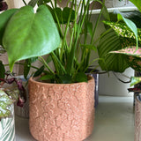 Pink Flower Detailed Pot