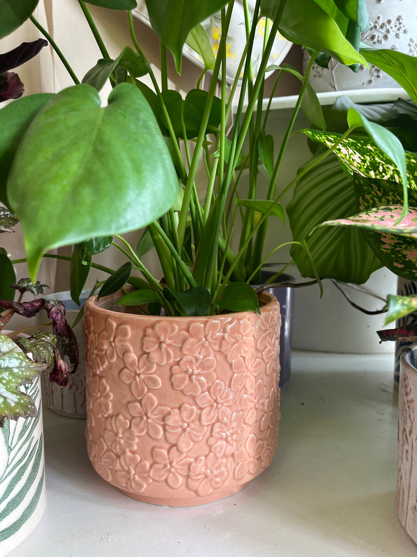 Pink Flower Detailed Pot