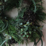Christmas Wreaths